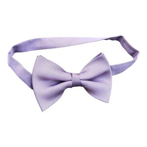 STCO Men's Elegant Lavender Bow Tie